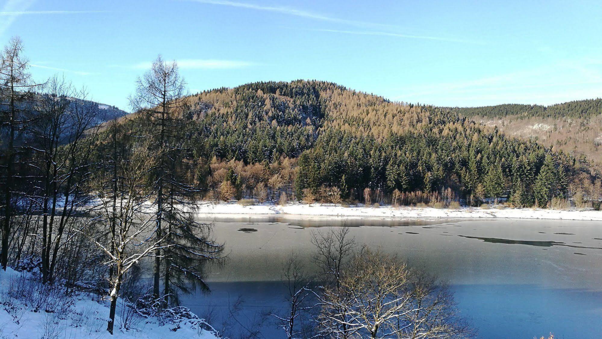 Hotel Berghof Am See Lautenthal Ngoại thất bức ảnh